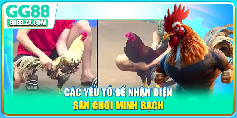 Các yếu tố để nhận diện sân chơi minh bạch
