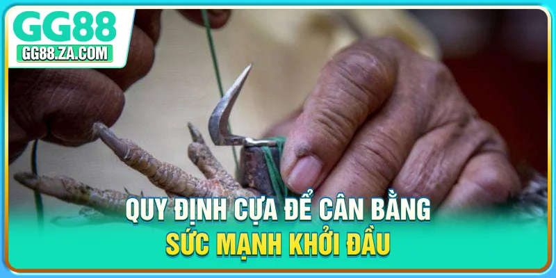 Quy định cựa để cân bằng sức mạnh khởi đầu