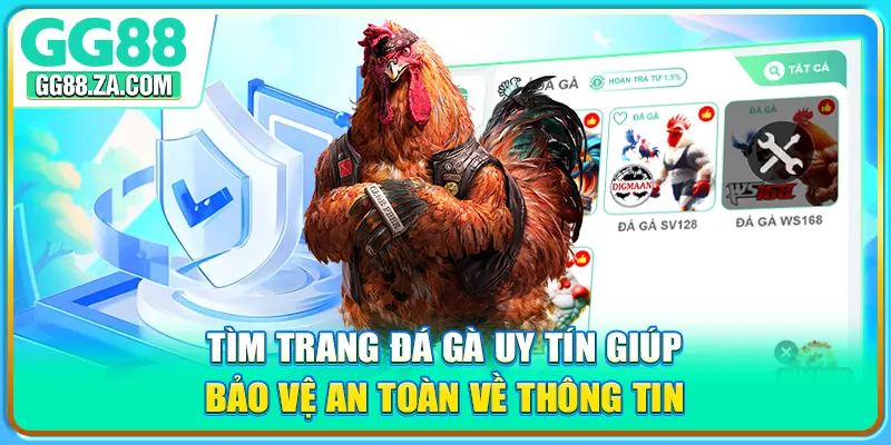 Tìm trang đá gà uy tín giúp bảo vệ an toàn về thông tin