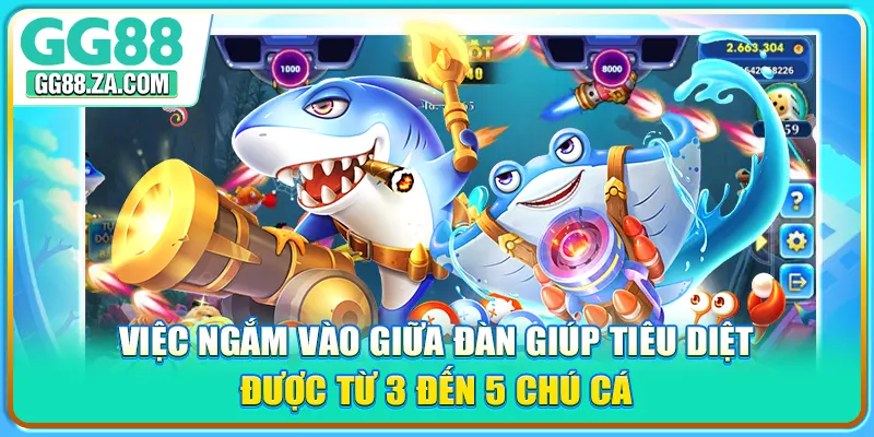 Việc ngắm vào giữa đàn giúp tiêu diệt được từ 3 đến 5 chú cá